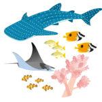 【沖縄】美ら海水族館の魚のイラスト。