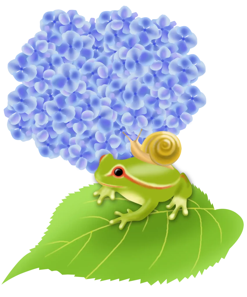 あじさいとカエルのイラスト